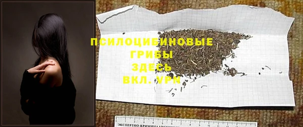 ALPHA PVP Беломорск