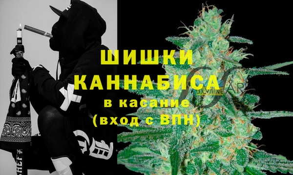 2c-b Богородск