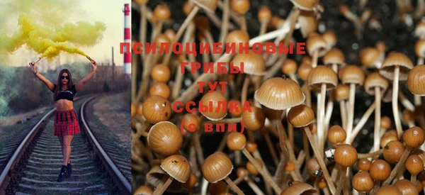 метадон Белокуриха