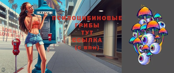 метадон Белокуриха