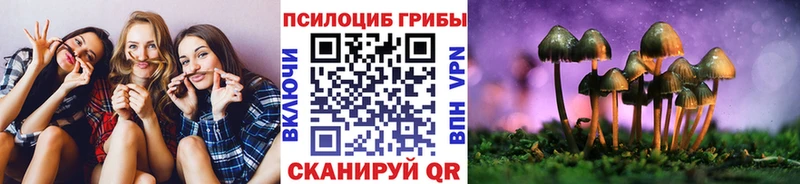 Псилоцибиновые грибы мицелий  Богучар 