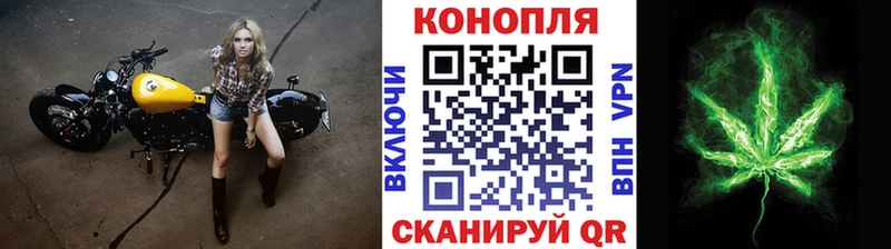 Бошки Шишки семена  Богучар 